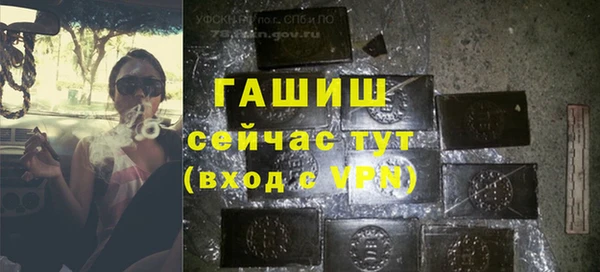 гидра Абаза