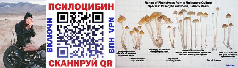 Галлюциногенные грибы мицелий  как найти наркотики  Грайворон 
